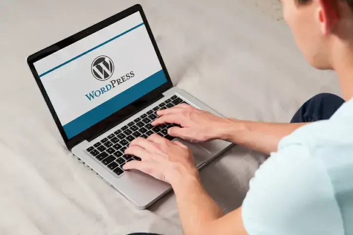 Διαγραφή Site WordPress είδηση